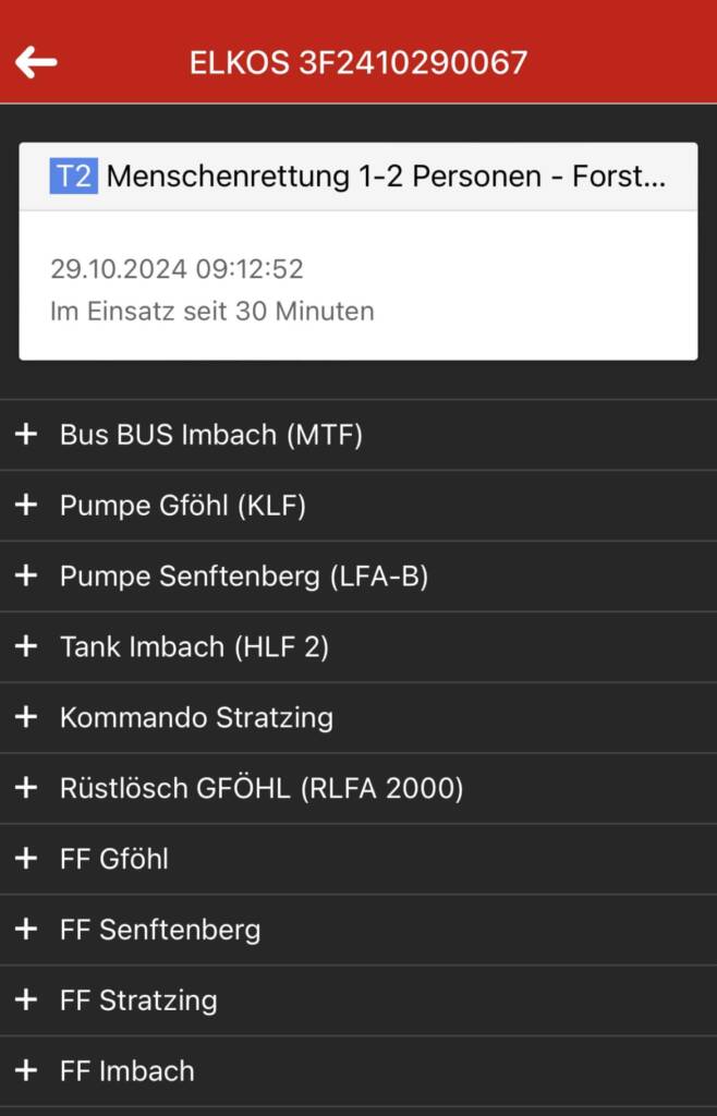 Menschenrettung, Forstunfall